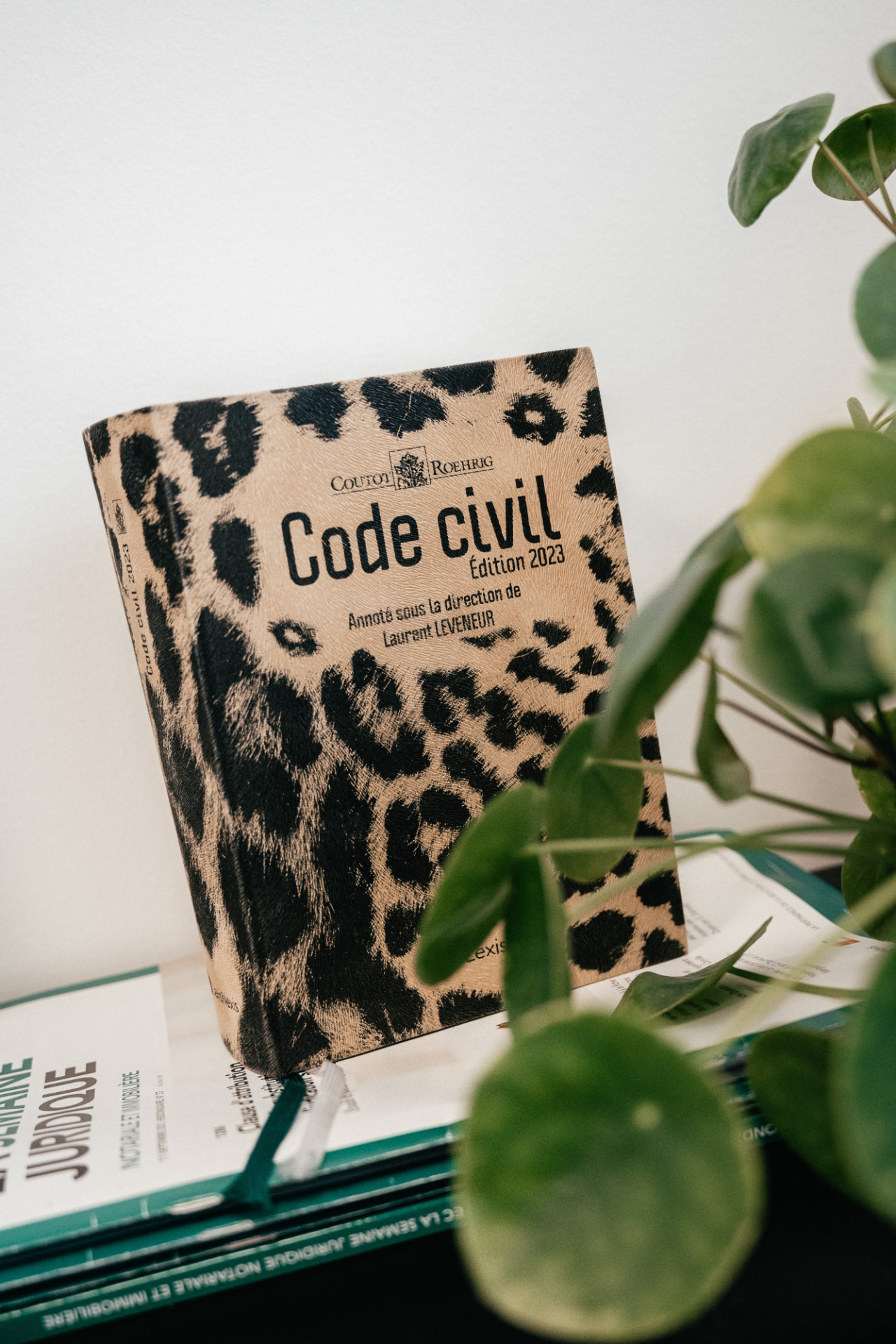 Code civil 2023 — CTM Notaires